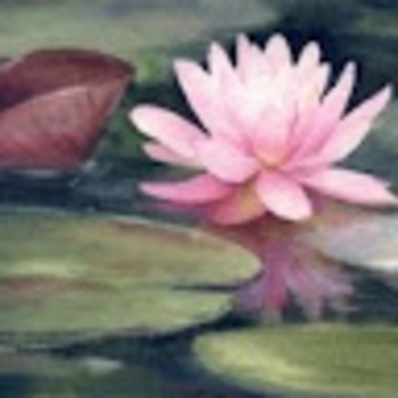 Meet your Posher, Joslyn - Picture 1 of 1